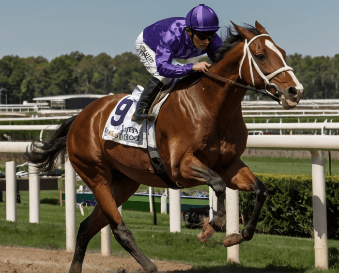 Vainqueur du tournoi hippique — Sergueï Smirnova